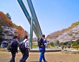 桜　祭り